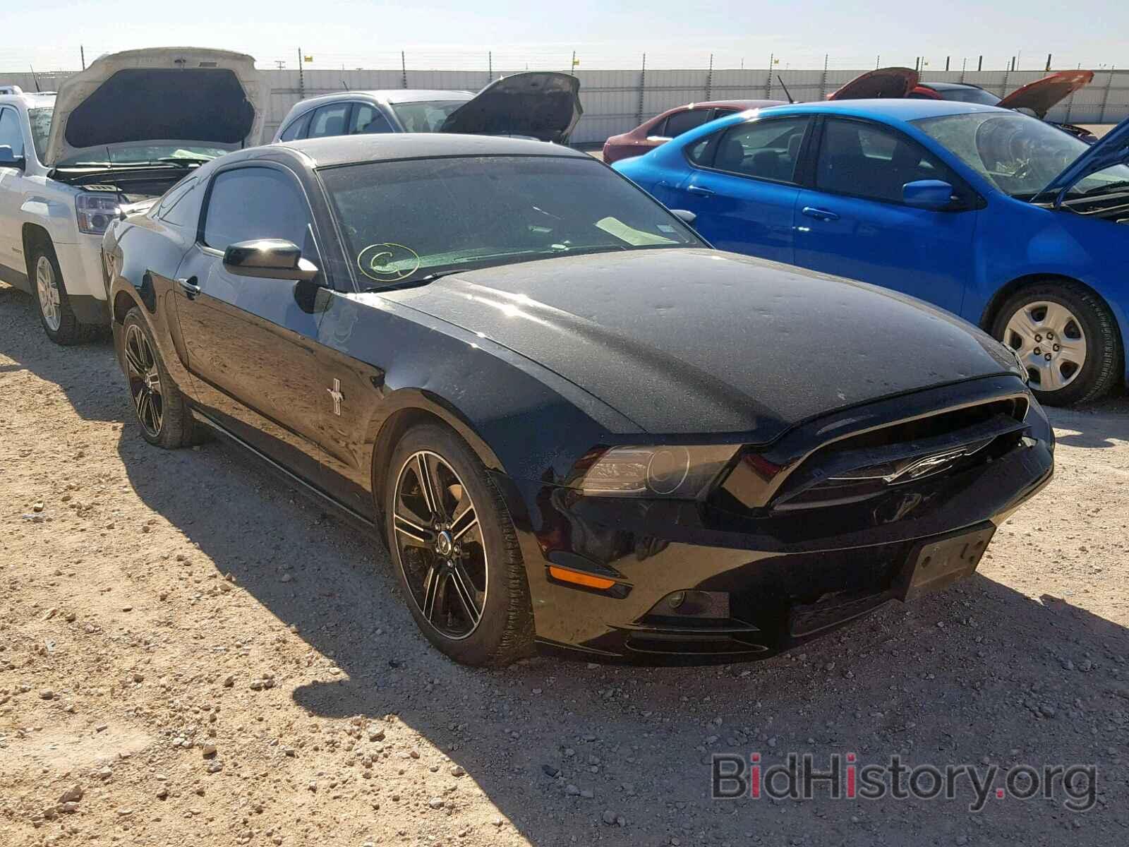 Photo 1ZVBP8AM0E5237583 - FORD MUSTANG 2014