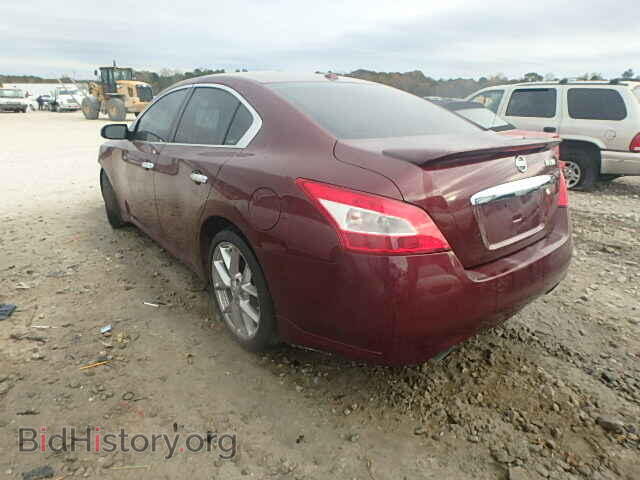 2010 NISSAN MAXIMA - VIN: 1N4AA5AP2AC824324 - Фото 3