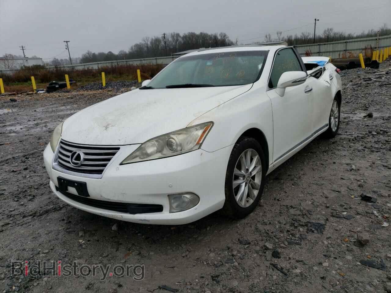 Фотография JTHBK1EG5A2385512 - LEXUS ES350 2010