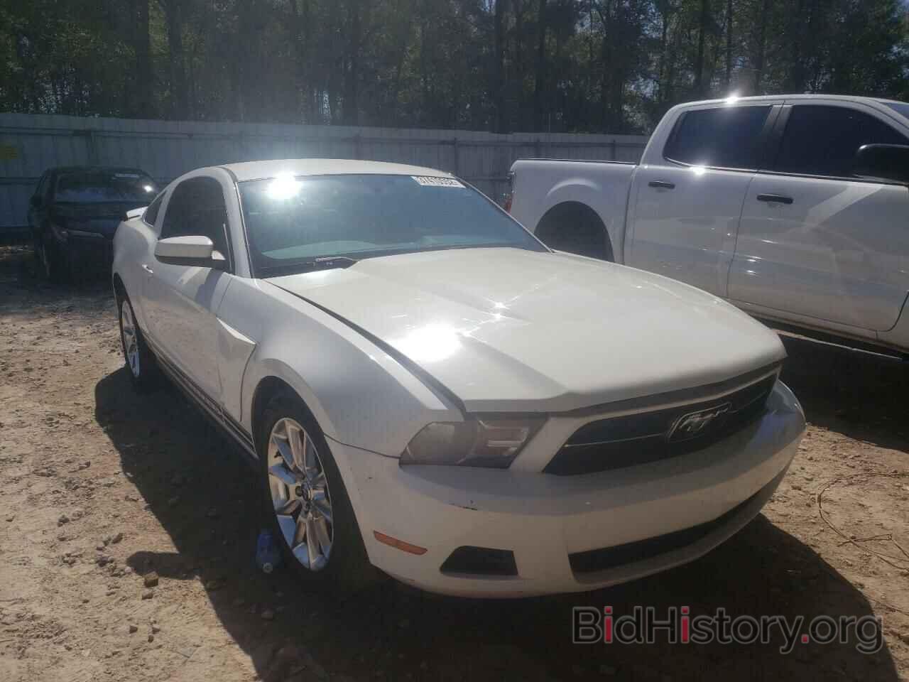 Photo 1ZVBP8AN1A5142940 - FORD MUSTANG 2010