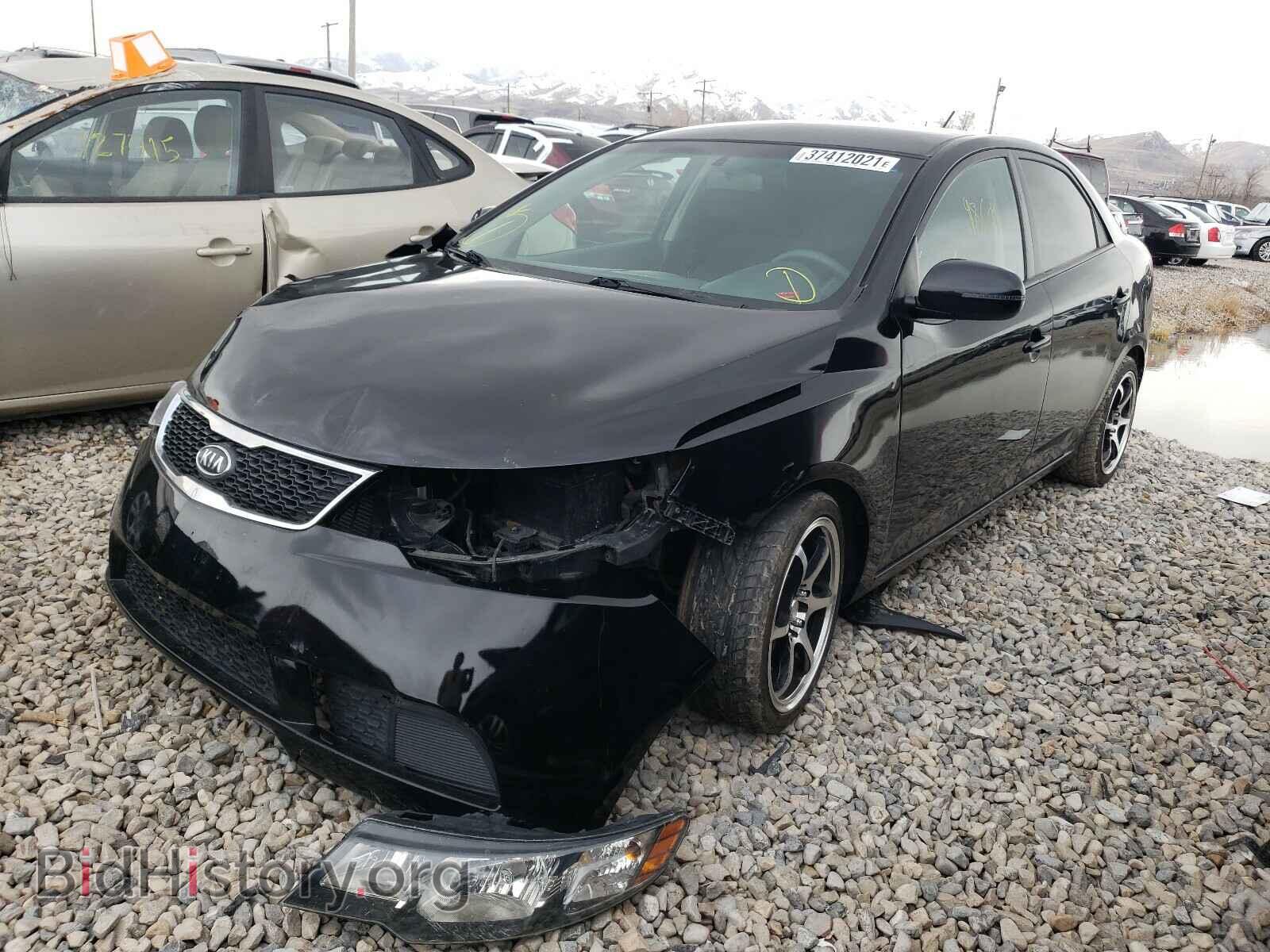 2013 KIA FORTE - VIN: KNAFU4A24D5646928 - Фото 2