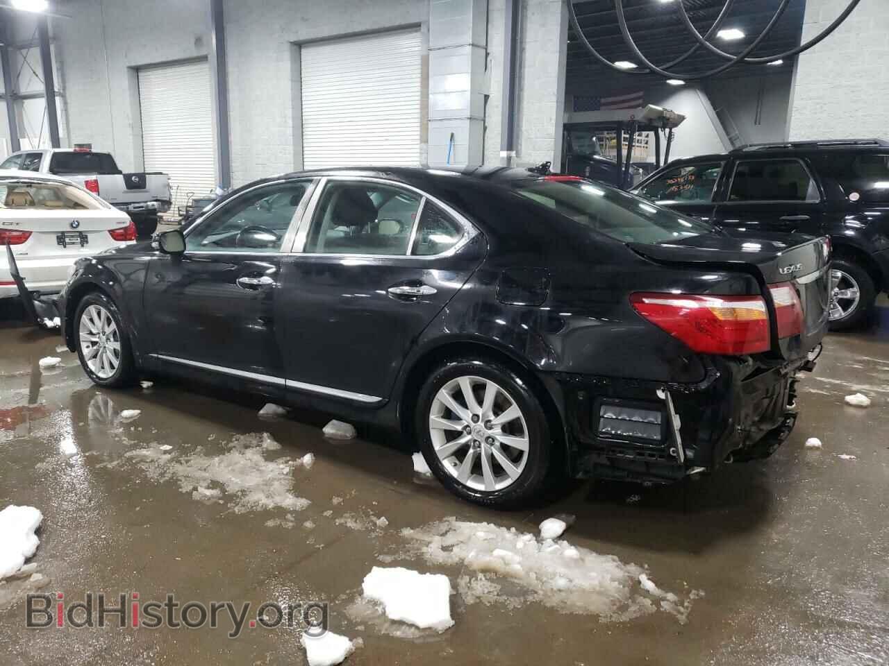 2010 LEXUS LS460 - VIN: JTHCL5EF9A5007112 - Фото 2