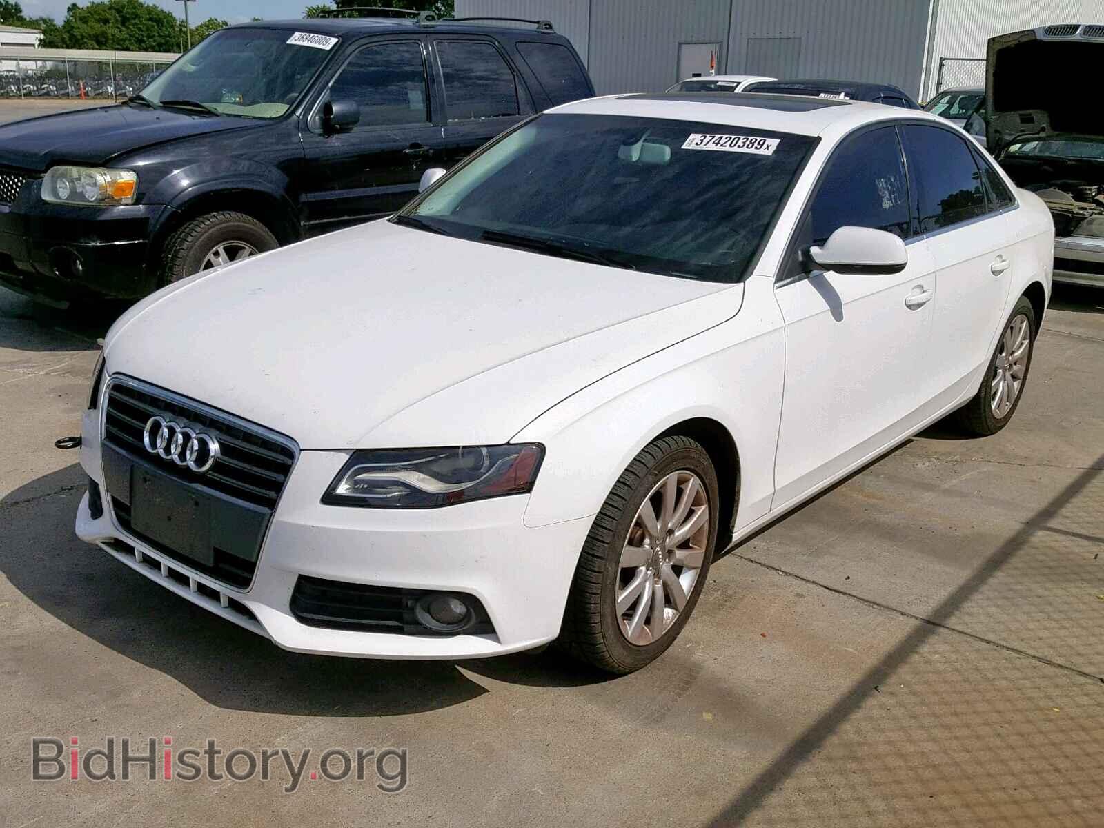2010 AUDI A4 - VIN: WAUEFAFL3AN054566 - Фото 2