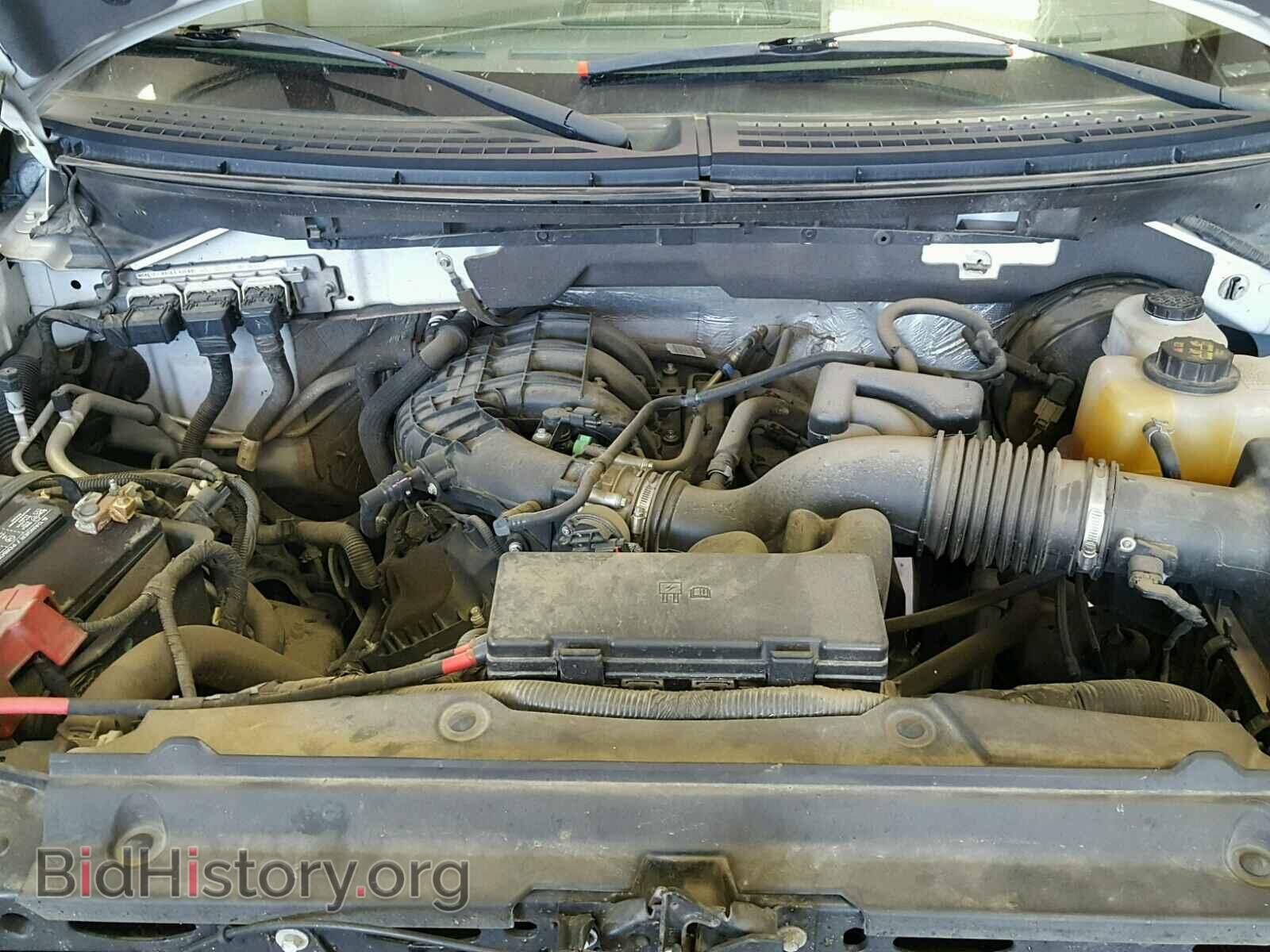 2013 FORD F150 - VIN: 1FTMF1CM2DKF27083 - Фото 7