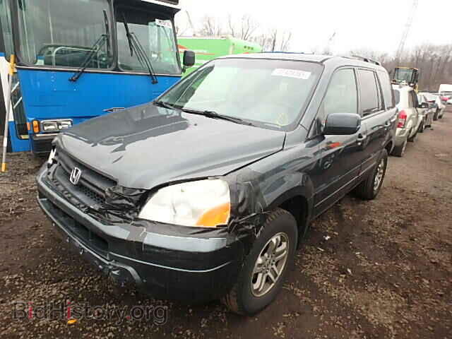 2005 HONDA PILOT - VIN: 2HKYF18445H531548 - Фото 2