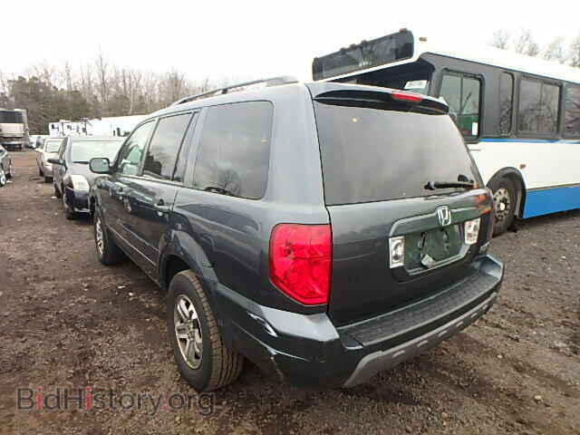 2005 HONDA PILOT - VIN: 2HKYF18445H531548 - Фото 3
