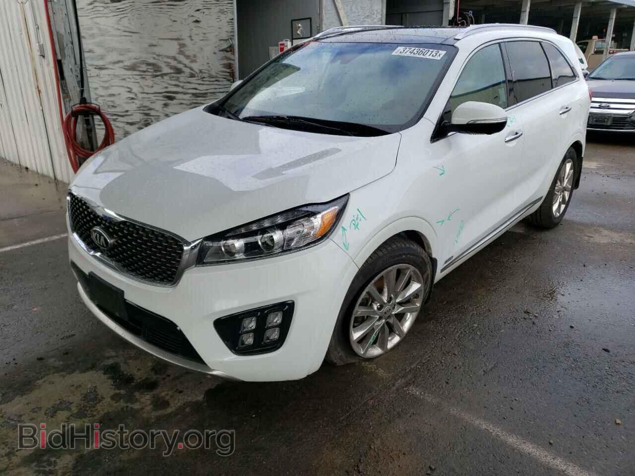 Photo 5XYPKDA58HG262168 - KIA SORENTO 2017