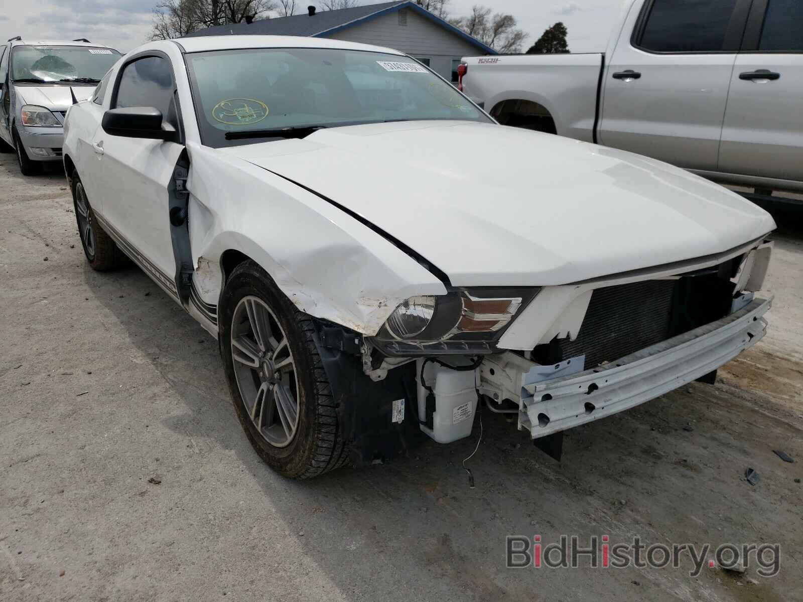 Photo 1ZVBP8AM0B5119805 - FORD MUSTANG 2011