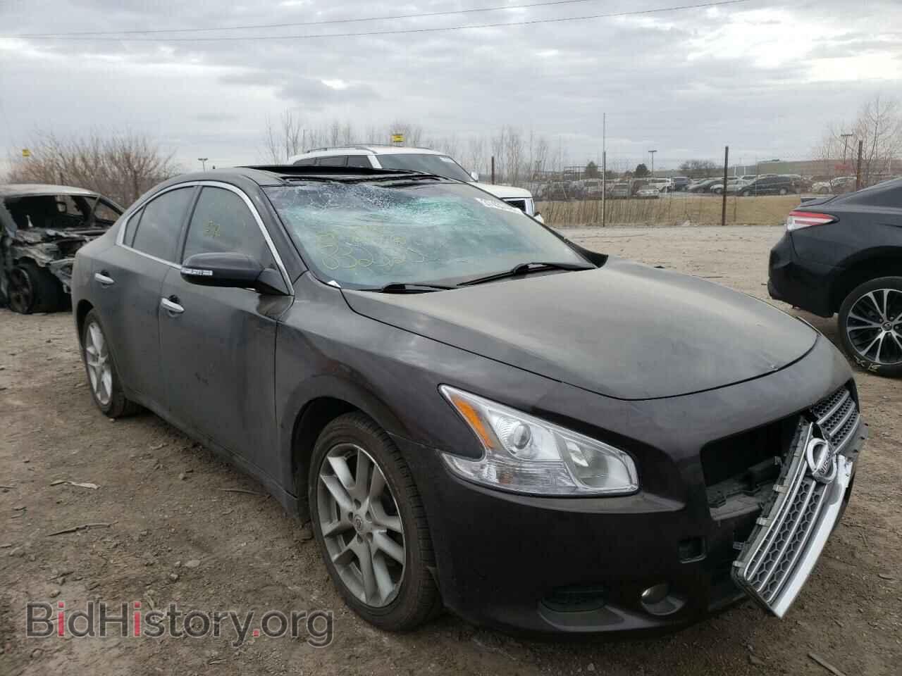 Photo 1N4AA5APXBC832320 - NISSAN MAXIMA 2011