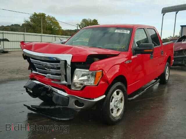 2012 FORD F150 - VIN: 1FTEW1CM8CKD07207 - Фото 2