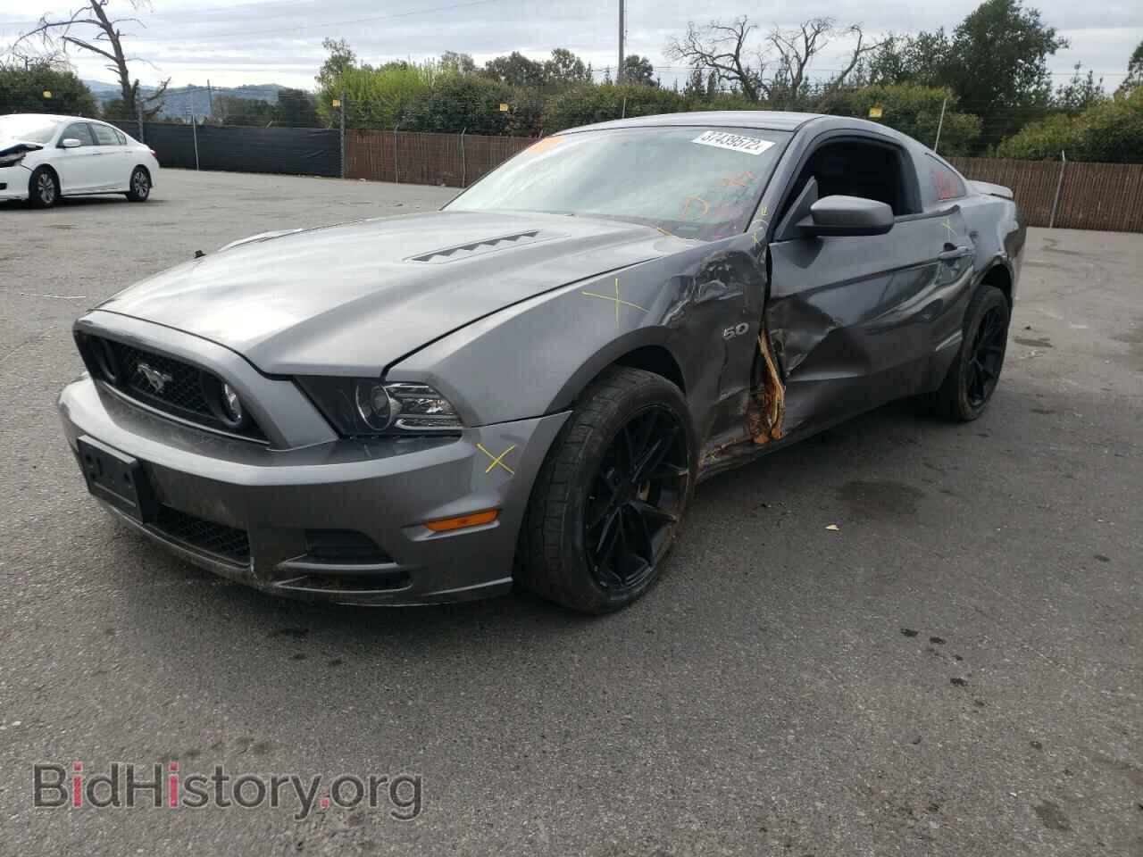 2013 FORD MUSTANG - VIN: 1ZVBP8CF0D5280009 - Фото 2
