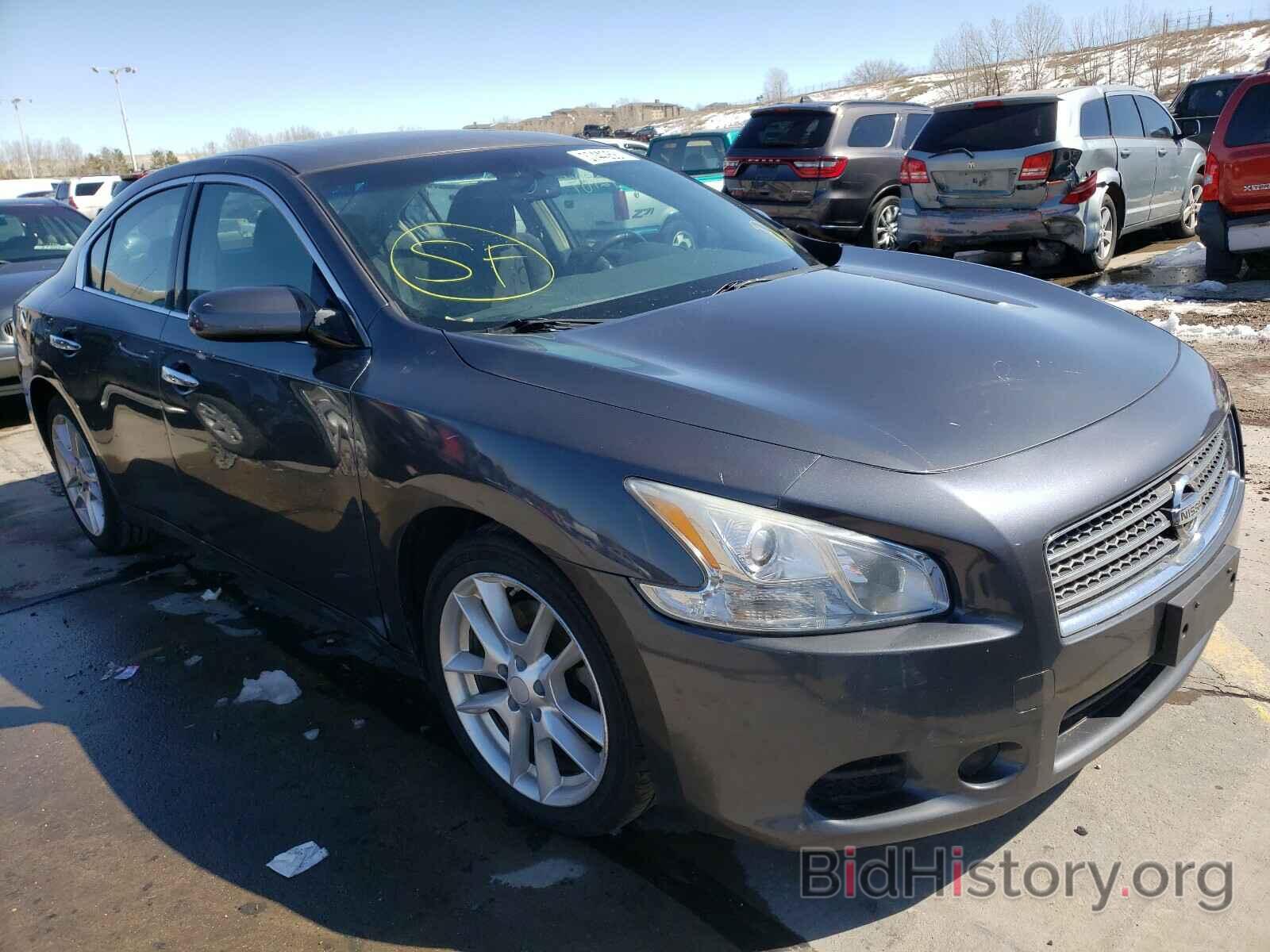 Photo 1N4AA5AP9AC800828 - NISSAN MAXIMA 2010