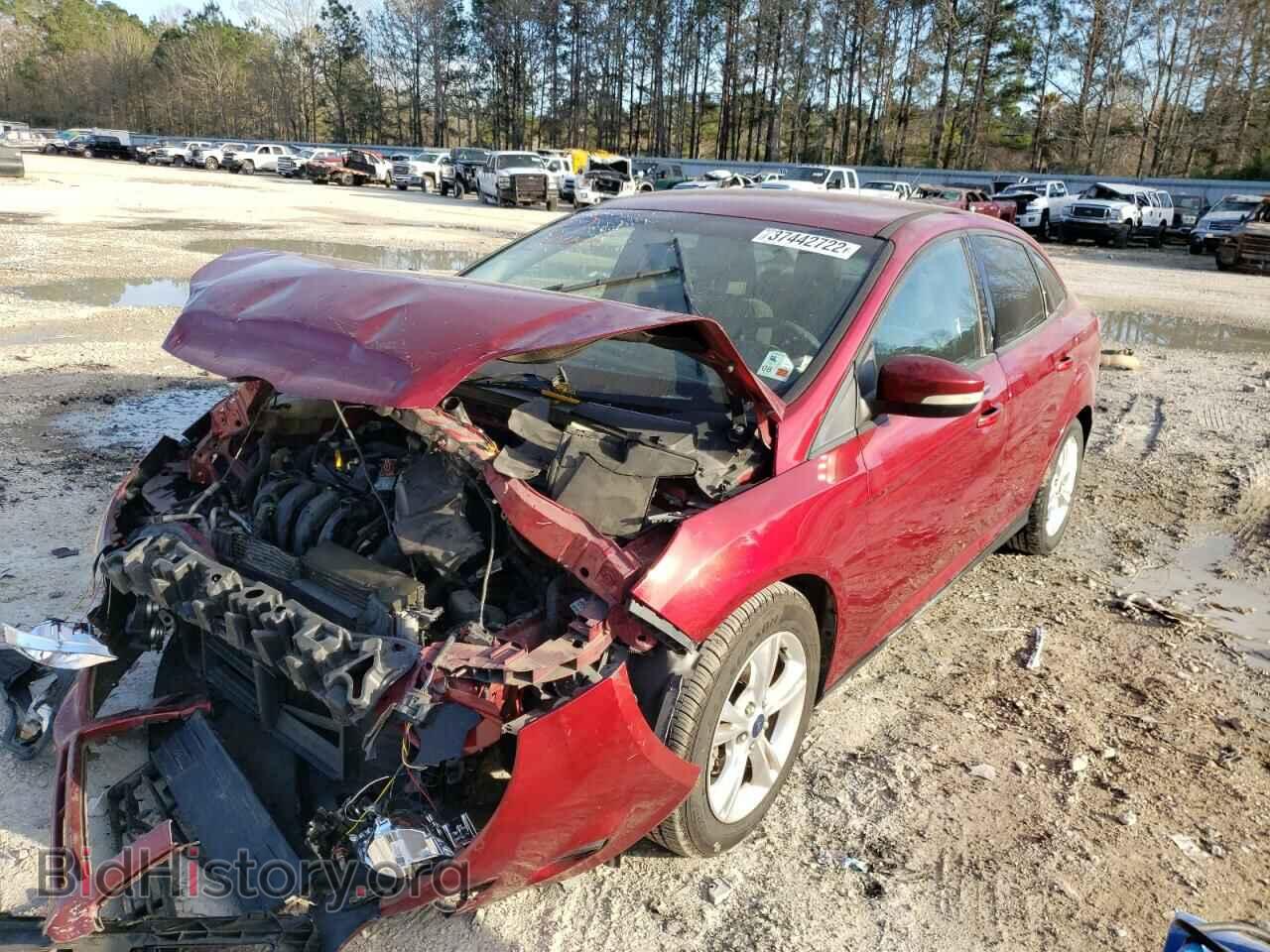 2014 FORD FOCUS - VIN: 1FADP3F23EL279771 - Photo 2