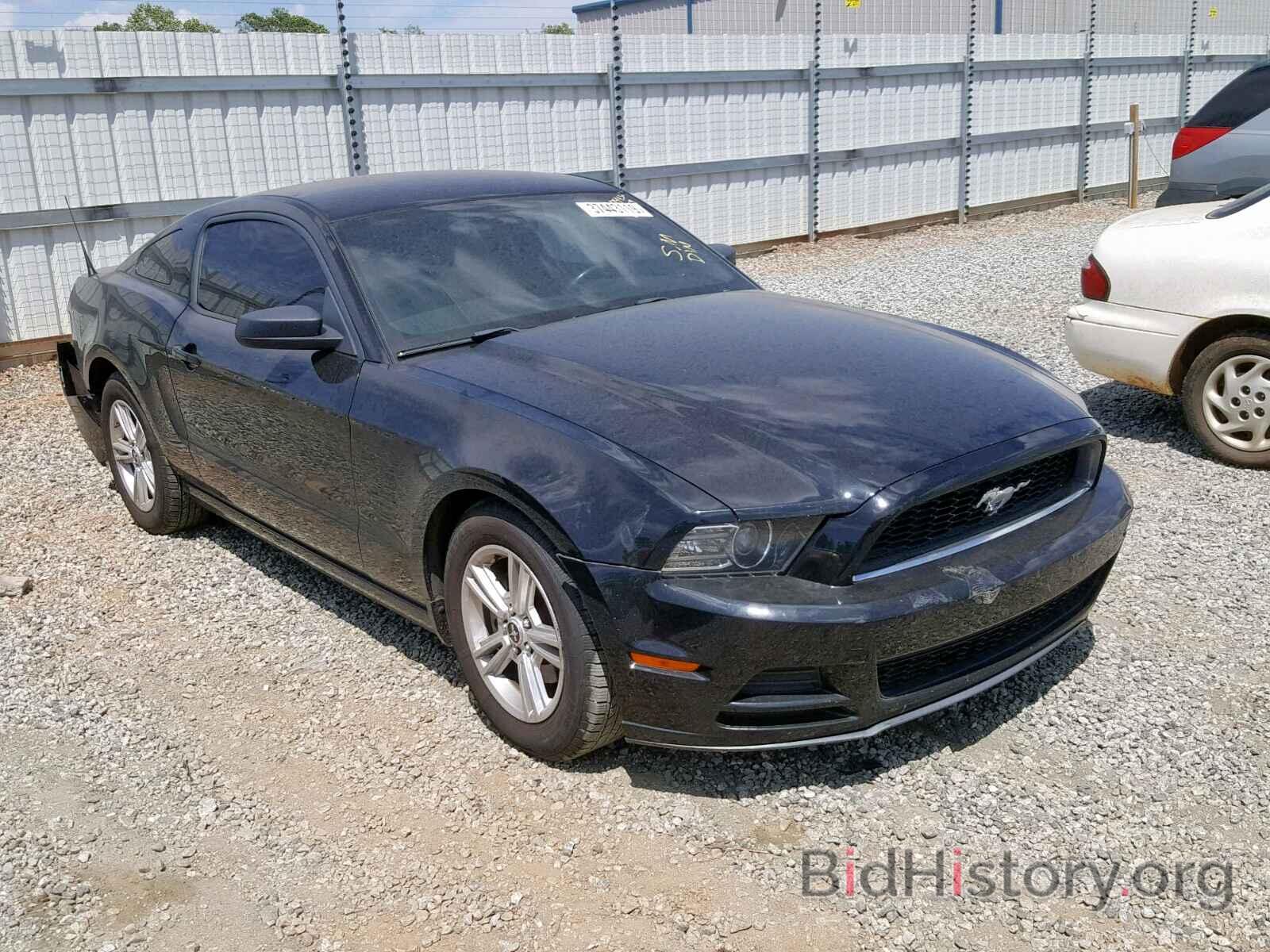 Photo 1ZVBP8AM0D5208678 - FORD MUSTANG 2013