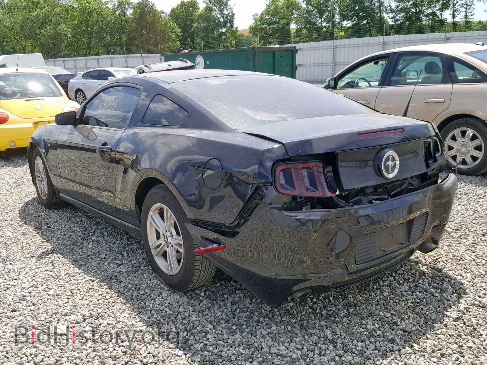 2013 FORD MUSTANG - VIN: 1ZVBP8AM0D5208678 - Фото 3
