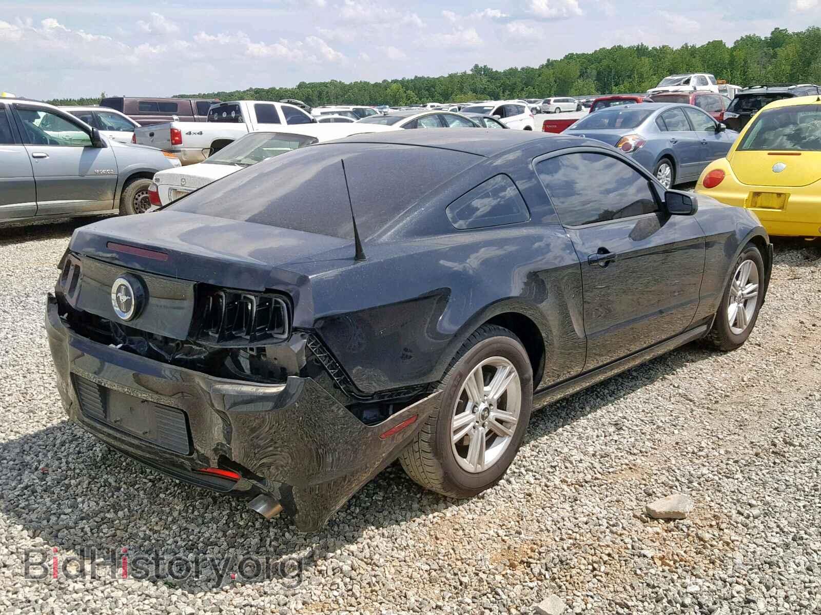 2013 FORD MUSTANG - VIN: 1ZVBP8AM0D5208678 - Фото 4