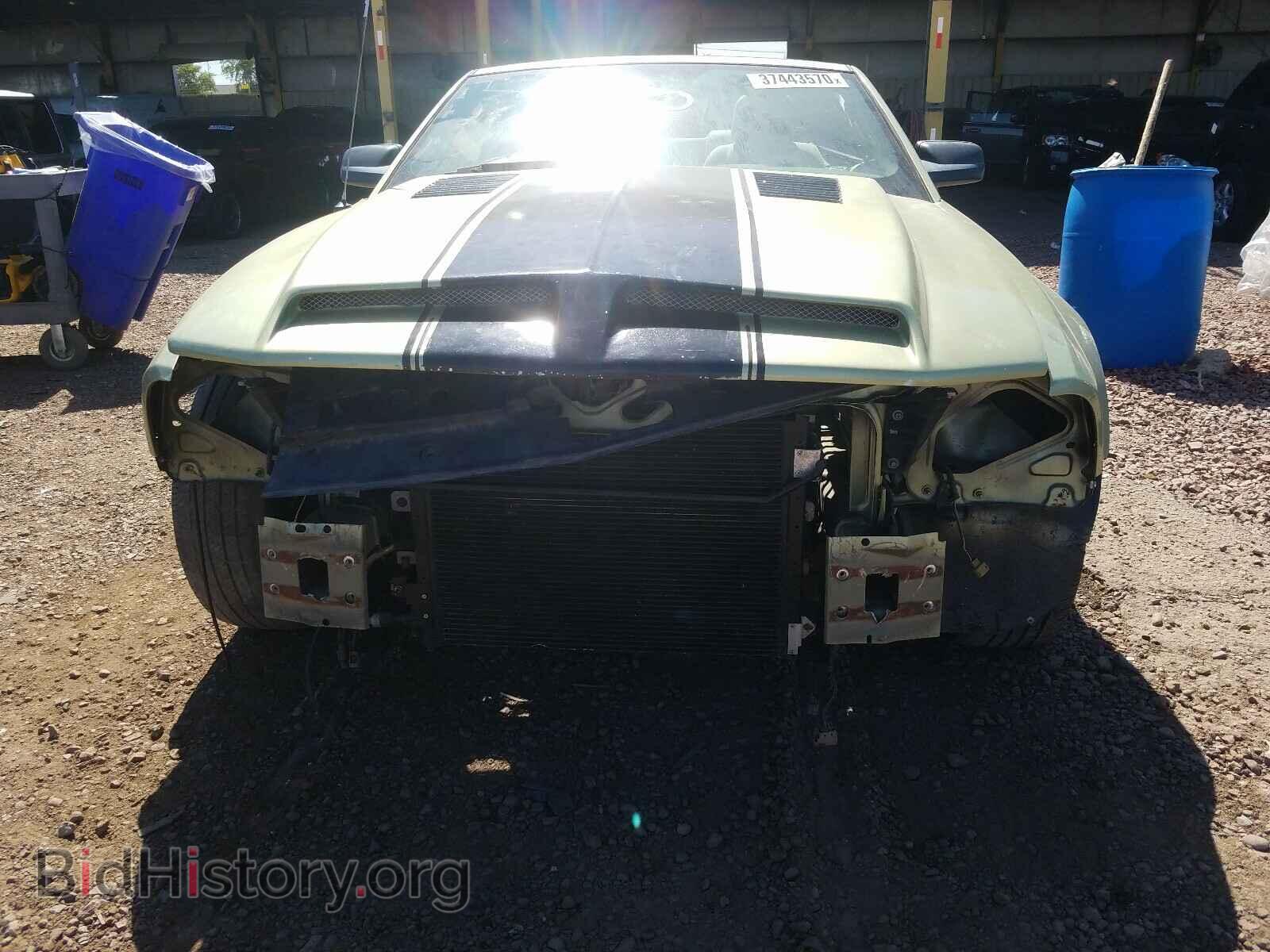 2006 FORD MUSTANG - VIN: 1ZVFT84N965251081 - Фото 9