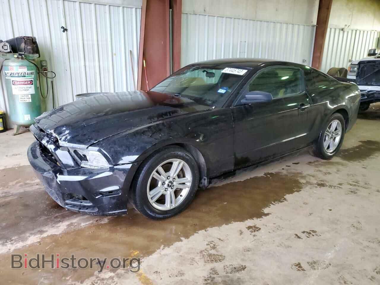Photo 1ZVBP8AM2E5291418 - FORD MUSTANG 2014