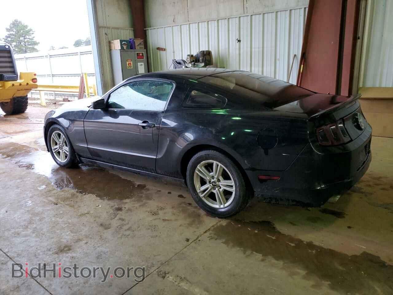 2014 FORD MUSTANG - VIN: 1ZVBP8AM2E5291418 - Фото 2