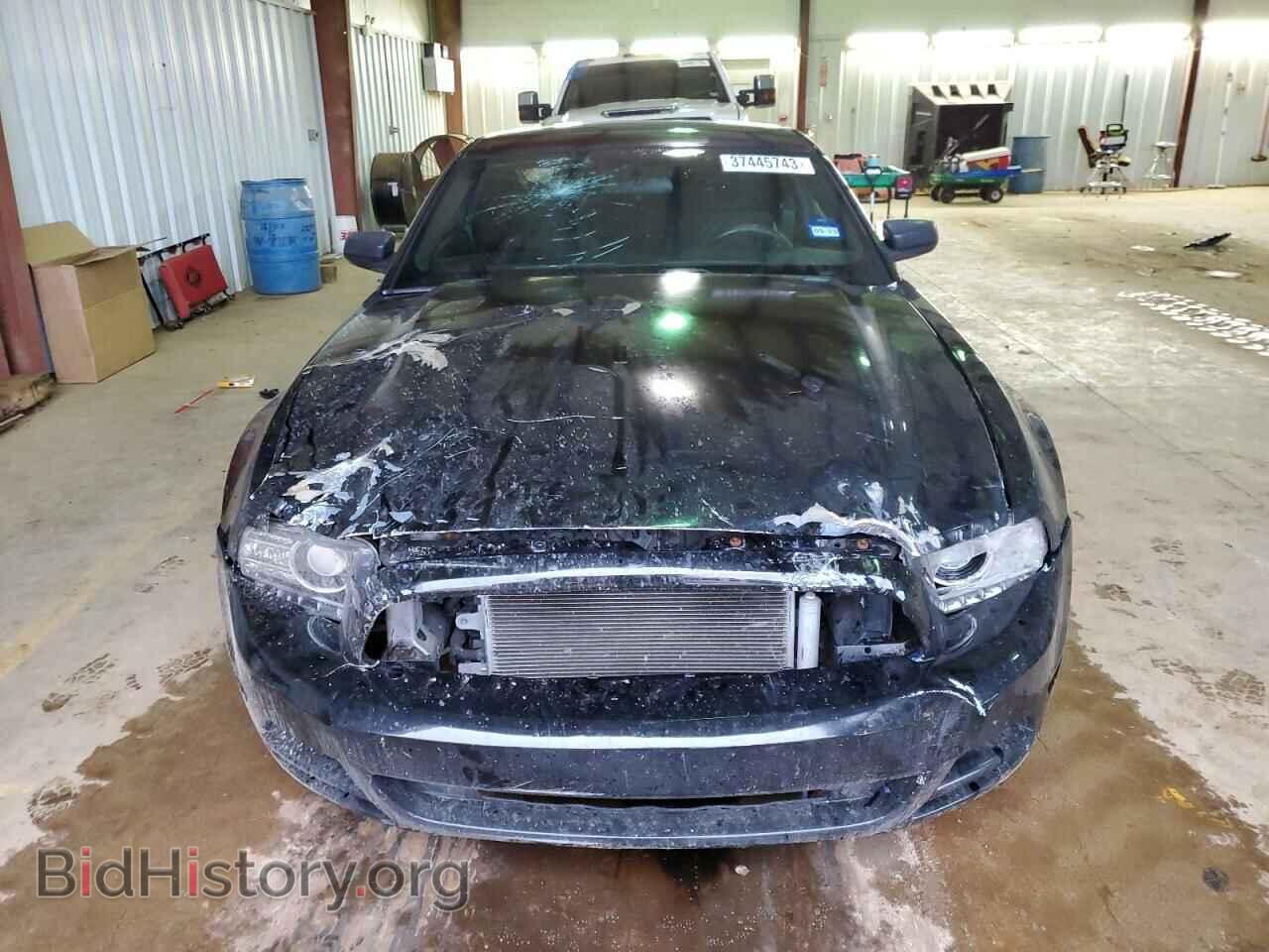 2014 FORD MUSTANG - VIN: 1ZVBP8AM2E5291418 - Фото 5