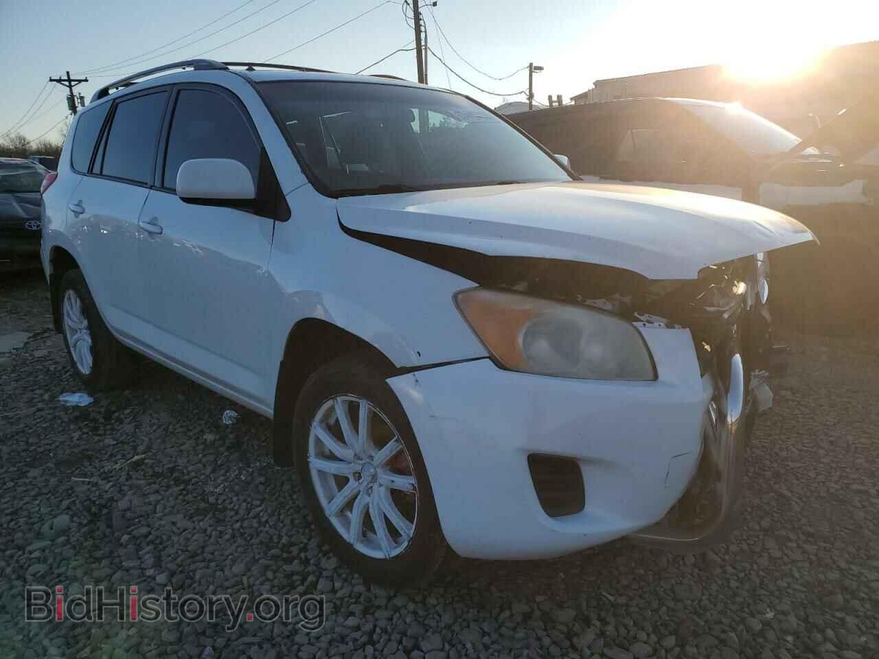 2011 TOYOTA RAV4 - VIN: 2T3BF4DV5BW101070 - Фото 4