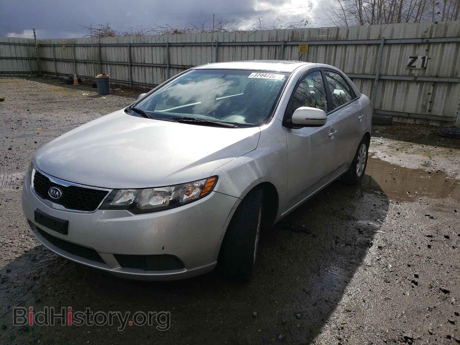 2013 KIA FORTE - VIN: KNAFU4A26D5703887 - Фото 2
