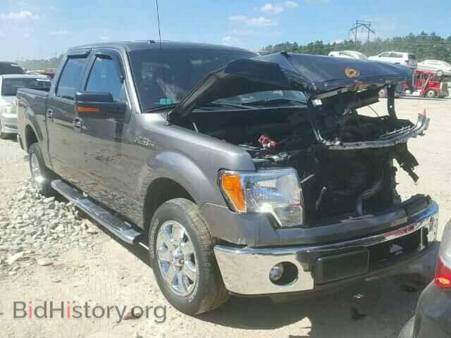 Фотография 1FTFW1CF5DFD37930 - FORD F150 2013