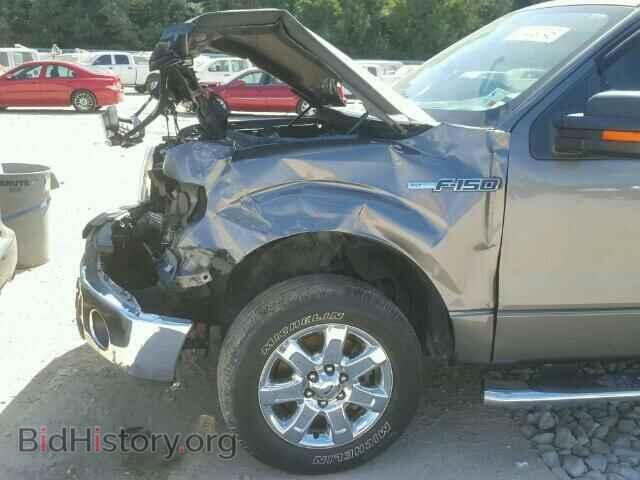 2013 FORD F150 - VIN: 1FTFW1CF5DFD37930 - Фото 10