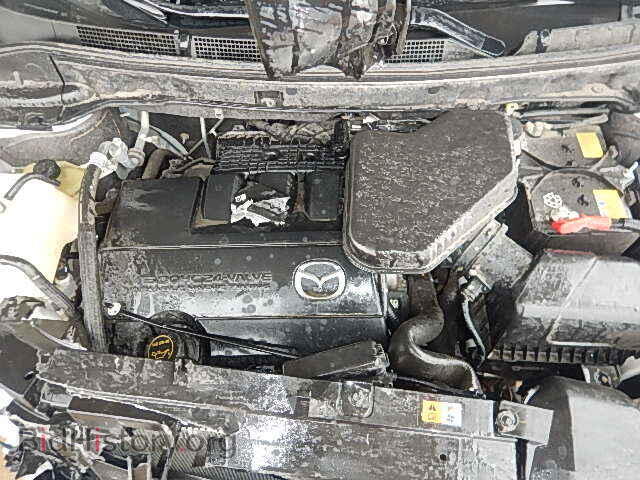 2011 MAZDA CX-9 - VIN: JM3TB2CA8B0300984 - Фото 7