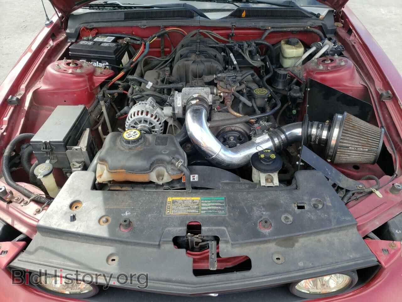 2006 FORD MUSTANG - VIN: 1ZVFT84N065222004 - Фото 7