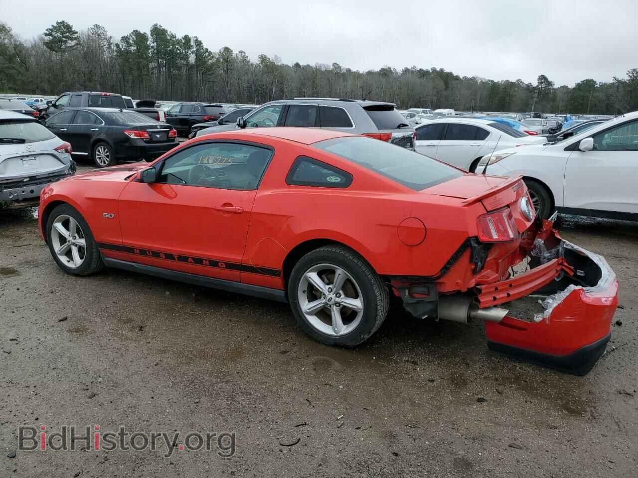 2012 FORD MUSTANG - VIN: 1ZVBP8CF0C5254640 - Фото 2