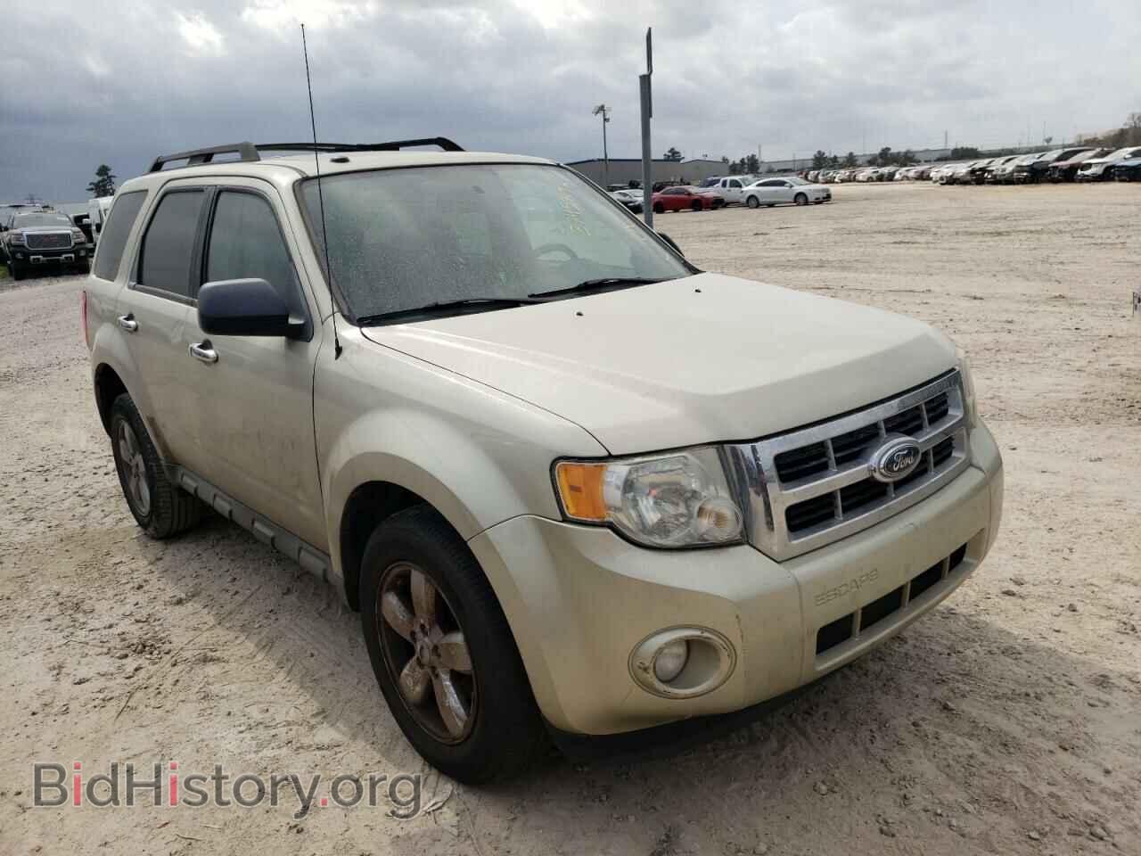 Фотография 1FMCU0DG4AKA53133 - FORD ESCAPE 2010