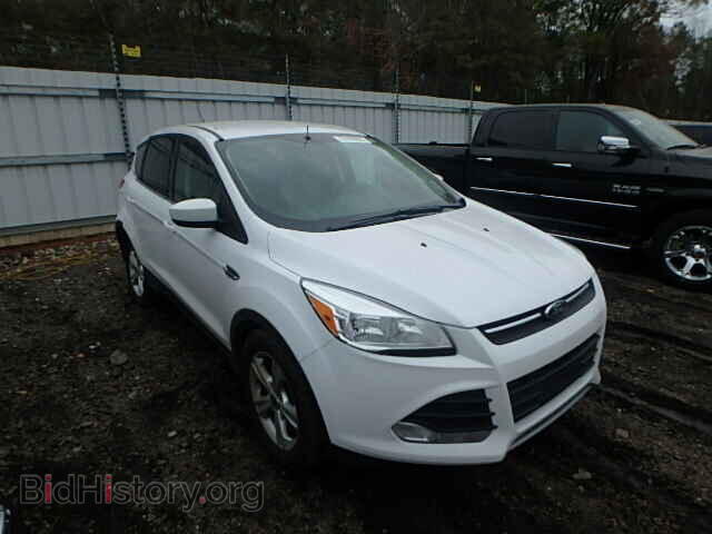 Фотография 1FMCU0GX7DUA80346 - FORD ESCAPE 2013