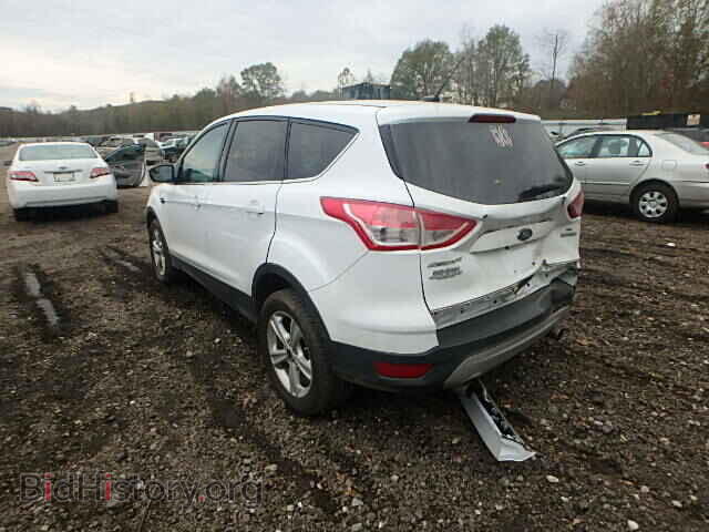 2013 FORD ESCAPE - VIN: 1FMCU0GX7DUA80346 - Фото 3