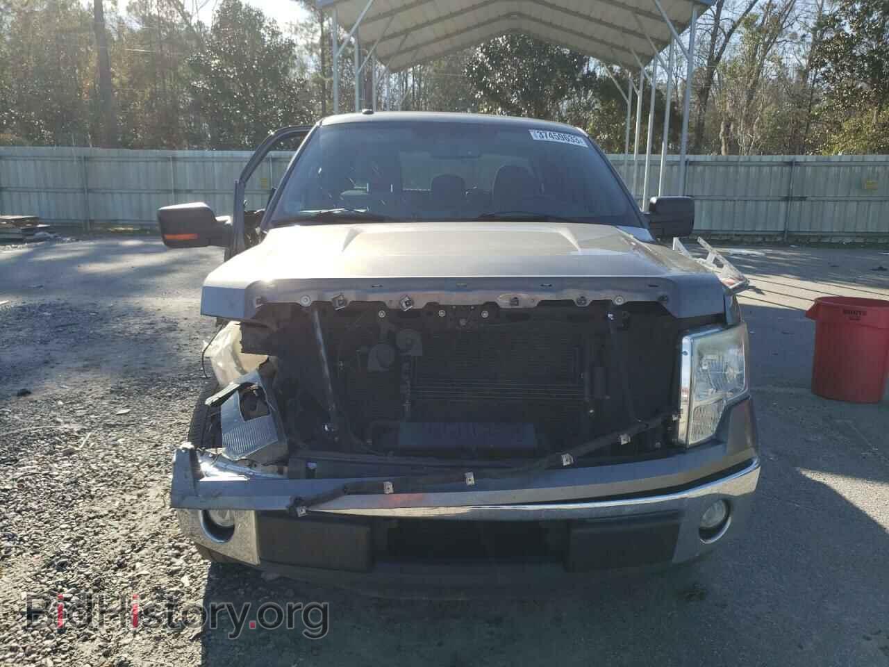 2011 FORD F-150 - VIN: 1FTFX1CT2BFB00196 - Фото 5