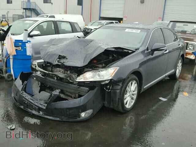 2011 LEXUS ES350 - VIN: JTHBK1EG1B2465701 - Фото 2