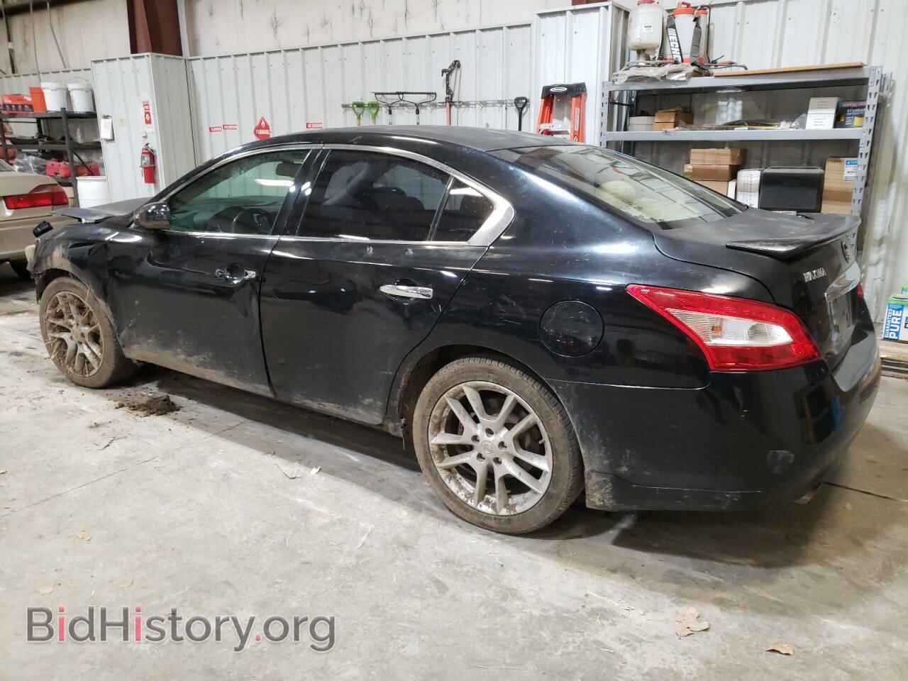 2009 NISSAN MAXIMA - VIN: 1N4AA51E99C854074 - Фото 2