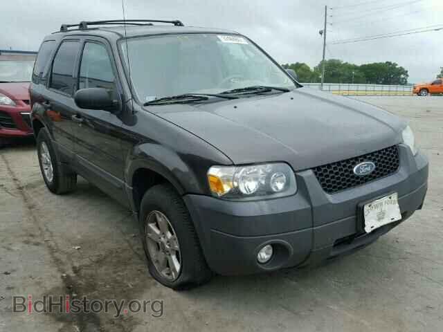 Photo 1FMYU03Z47KC07907 - FORD ESCAPE 2007