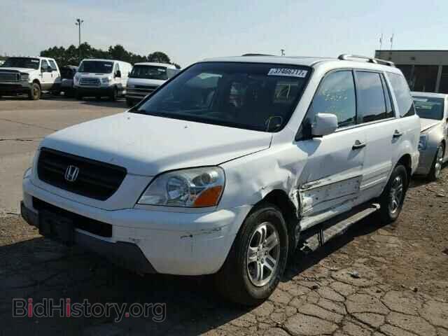 2005 HONDA PILOT - VIN: 5FNYF18595B068491 - Фото 2
