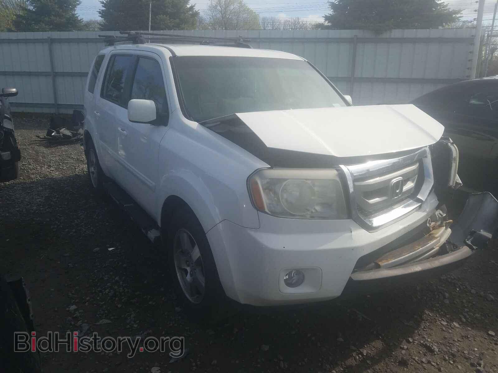Фотография 5FNYF48409B047091 - HONDA PILOT 2009