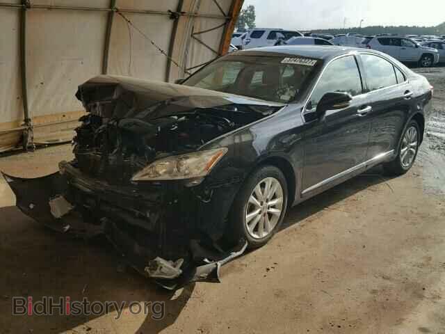 2010 LEXUS ES350 - VIN: JTHBK1EG2A2370174 - Фото 2
