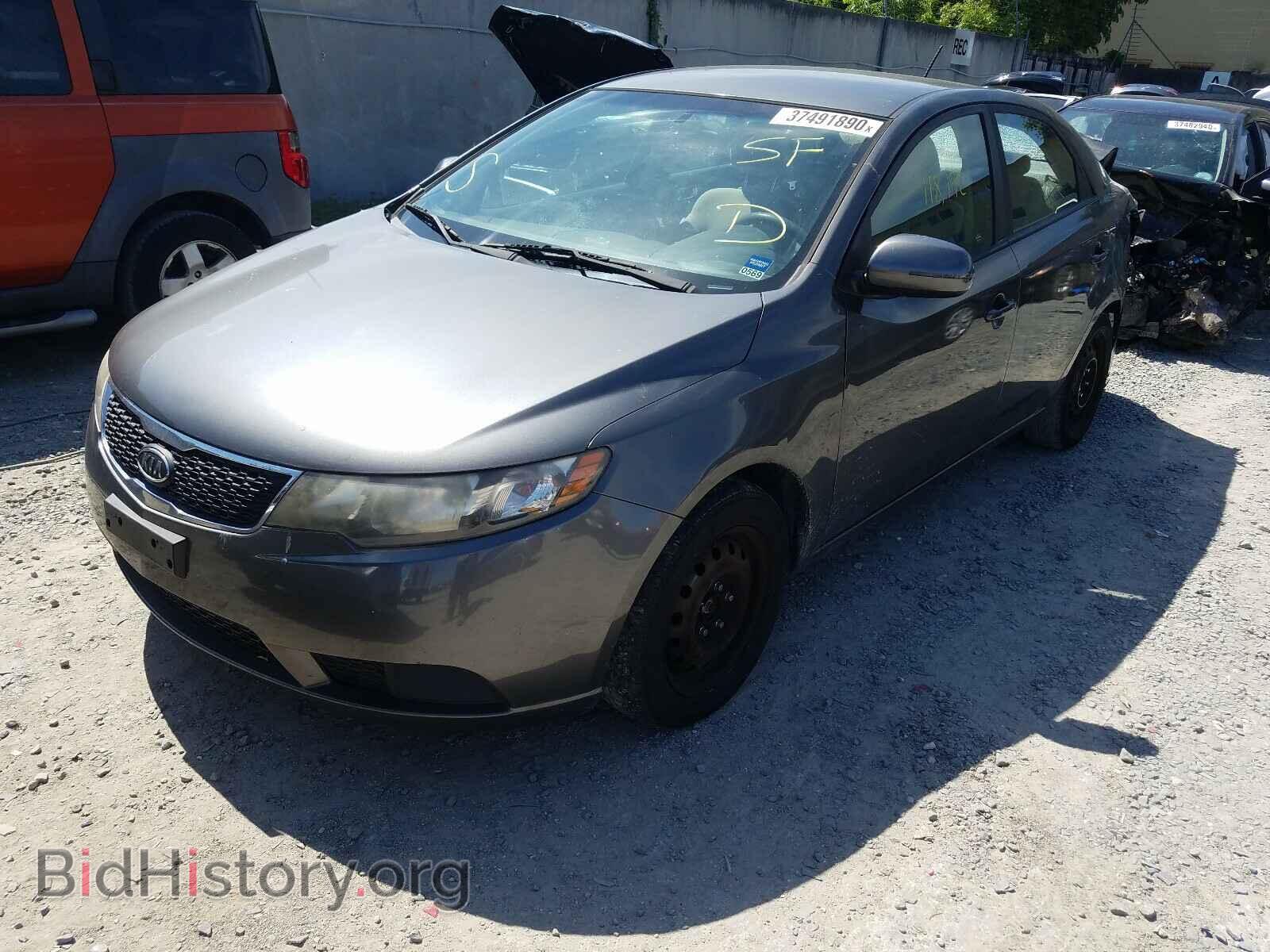 2013 KIA FORTE - VIN: KNAFU4A2XD5690982 - Фото 2