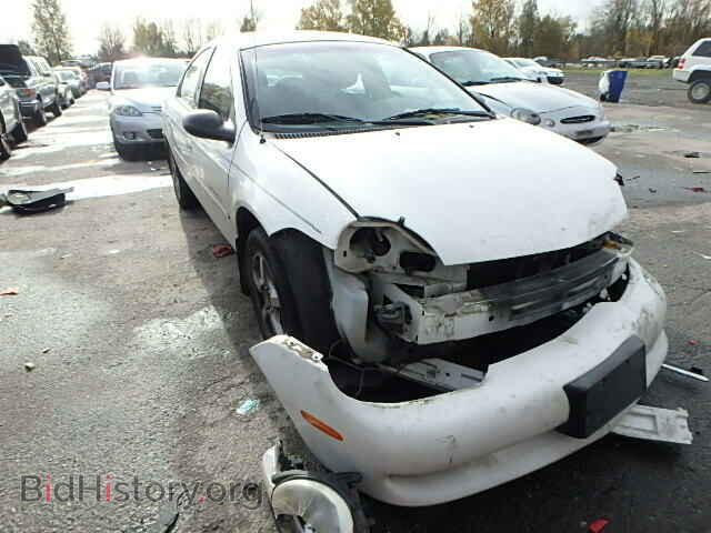 Photo 1B3ES46CX1D206527 - DODGE NEON 2001