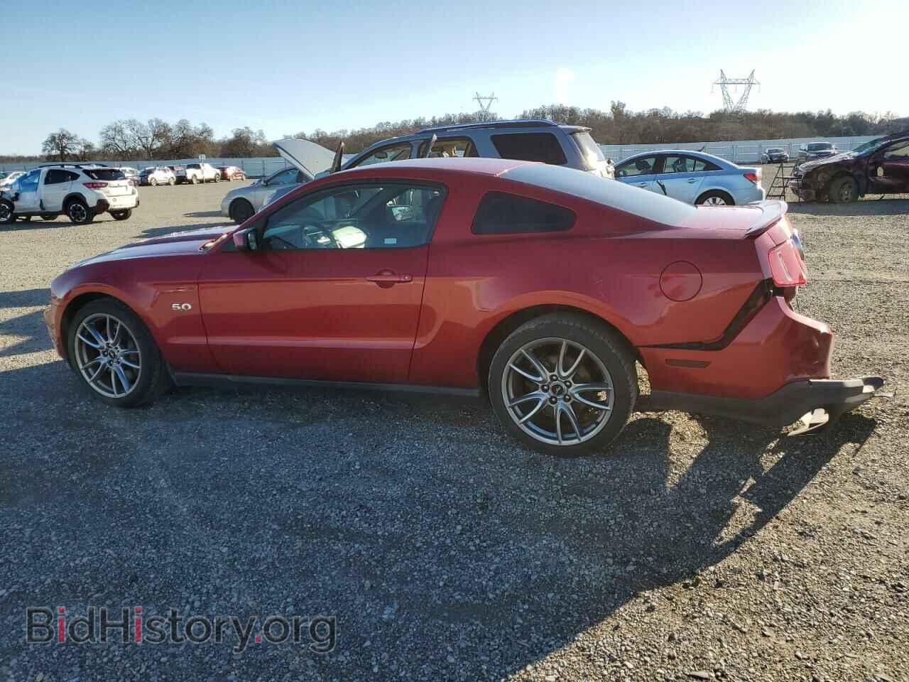 2012 FORD MUSTANG - VIN: 1ZVBP8CF2C5282343 - Фото 2