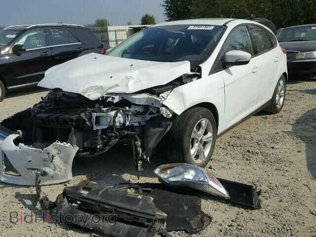 2013 FORD FOCUS - VIN: 1FADP3K28DL117199 - Фото 2