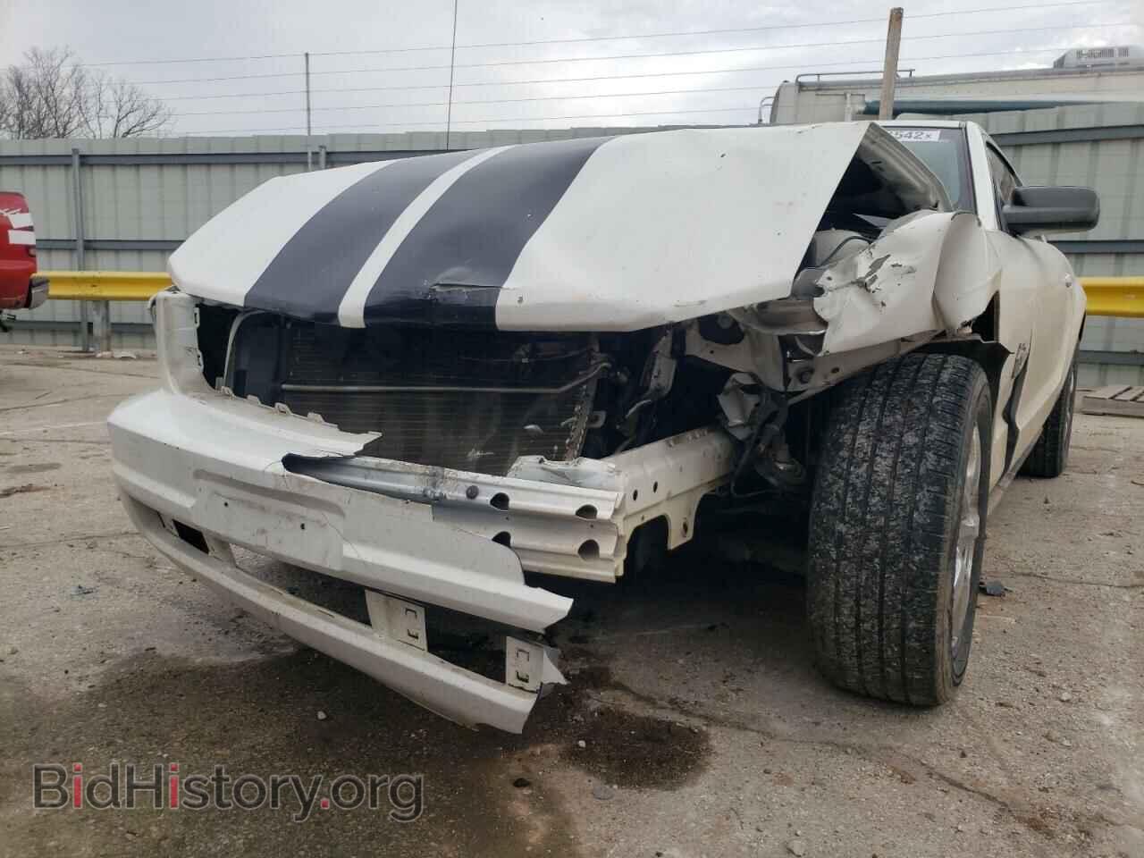 2009 FORD MUSTANG - VIN: 1ZVHT80N895112630 - Фото 9