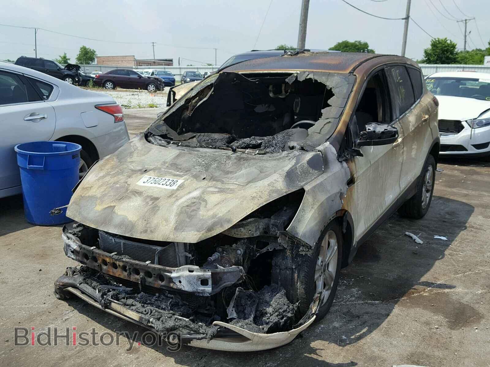 2013 FORD ESCAPE - VIN: 1FMCU0GX5DUC16179 - Фото 2