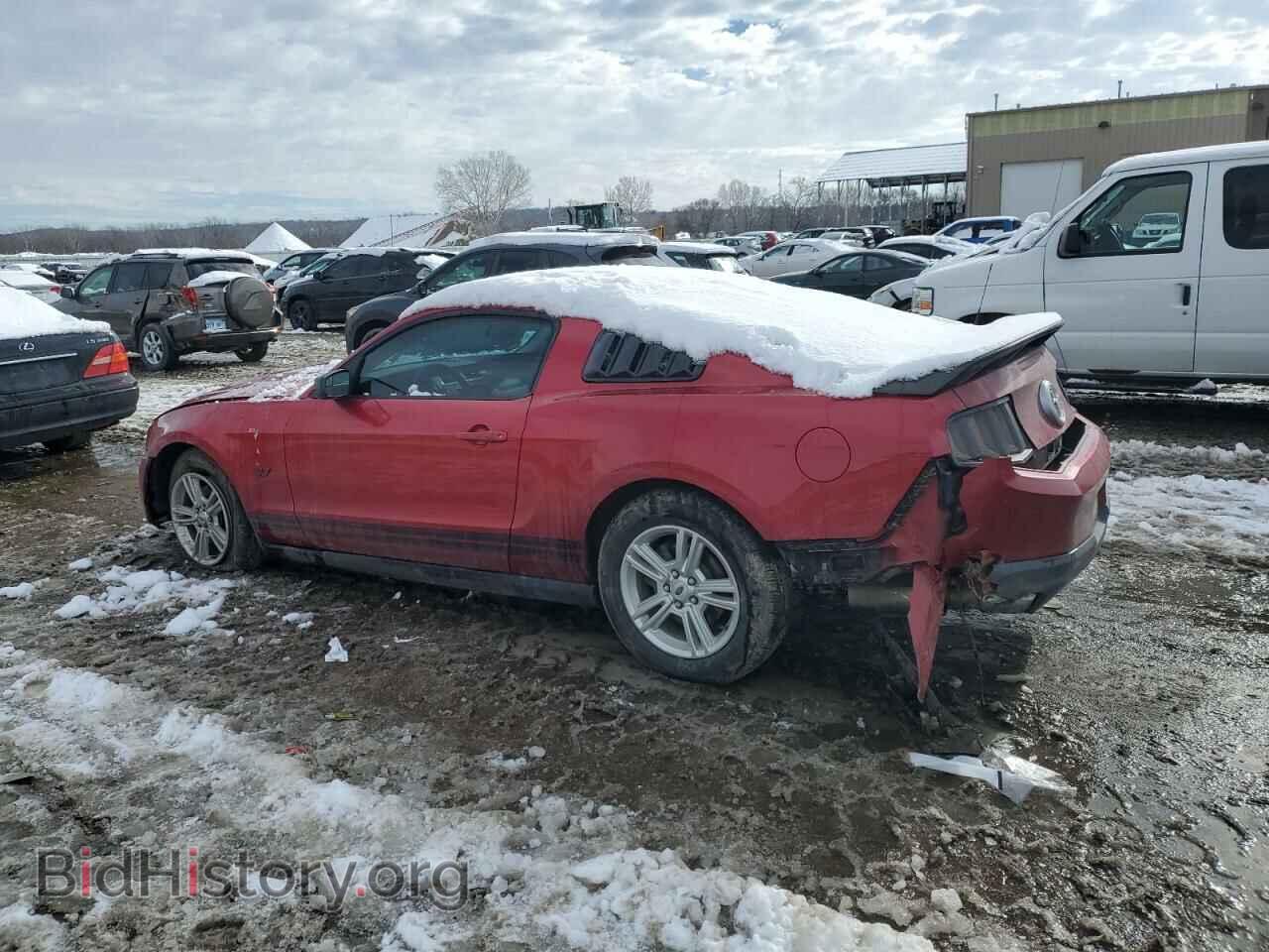 2011 FORD ALL Models - VIN: 1ZVBP8AM2B5136735 - Фото 2