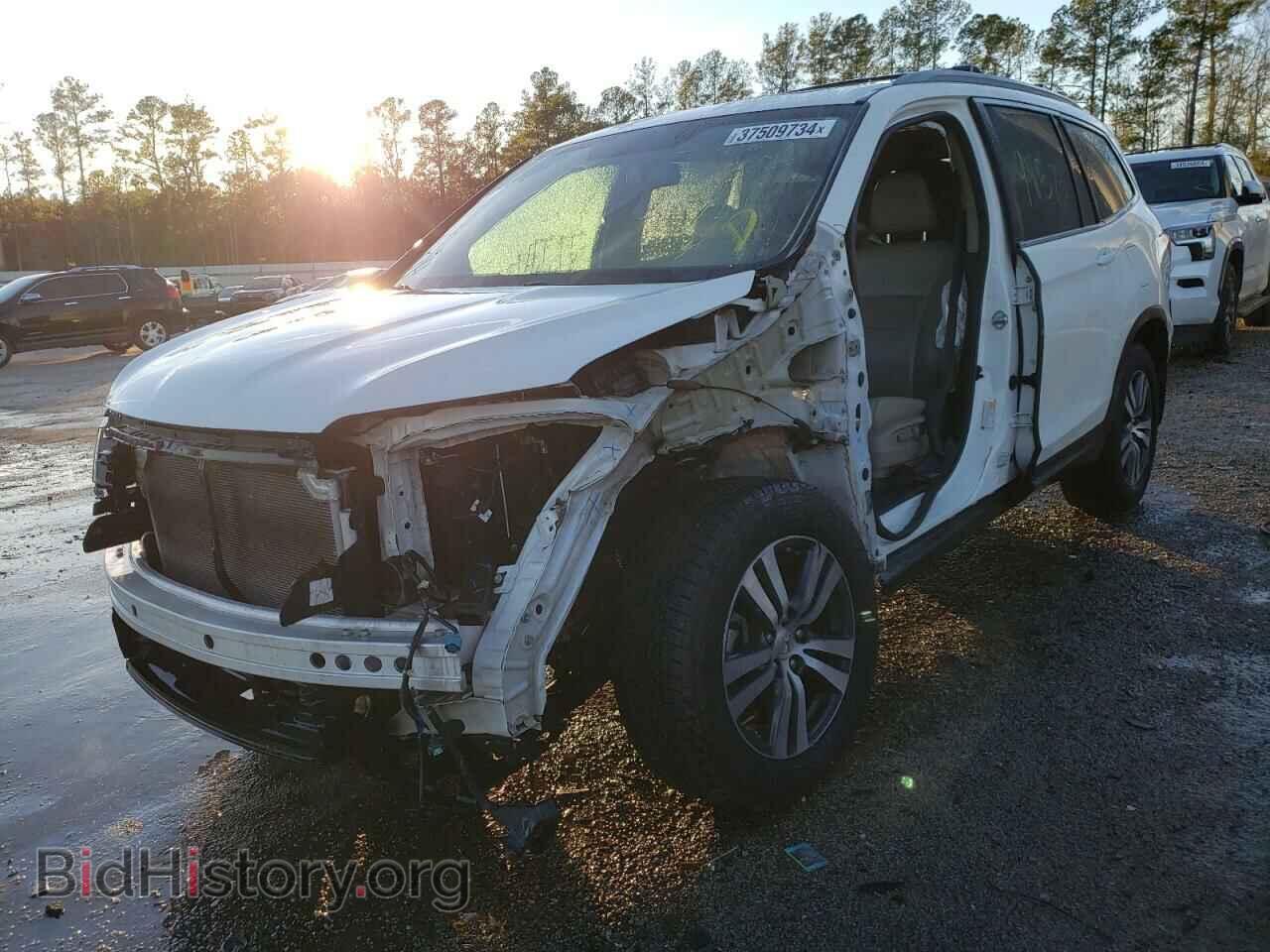Photo 5FNYF5H58JB007733 - HONDA PILOT 2018