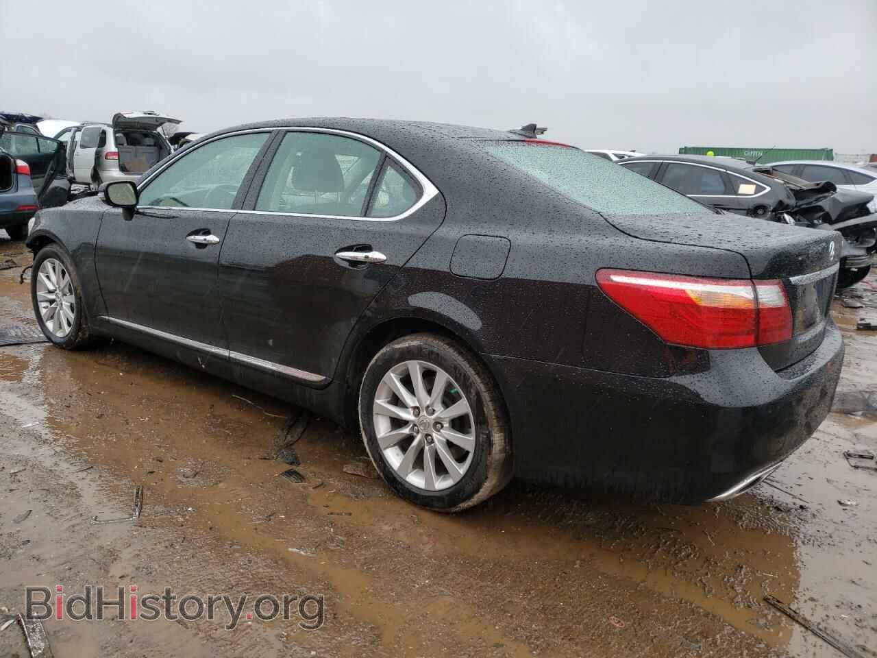 2011 LEXUS LS460 - VIN: JTHCL5EF1B5011978 - Фото 2